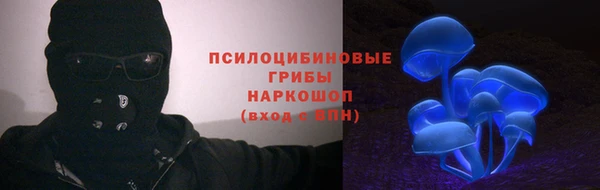 спиды Козловка
