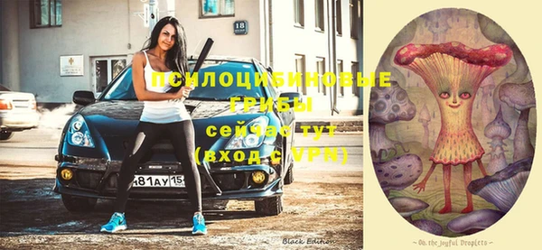 спиды Козловка