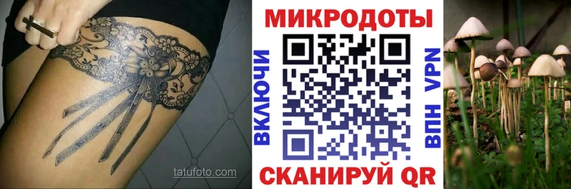 Галлюциногенные грибы Magic Shrooms  Купить закладки  Кизляр 